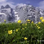 Haus Schnetzer Apartament