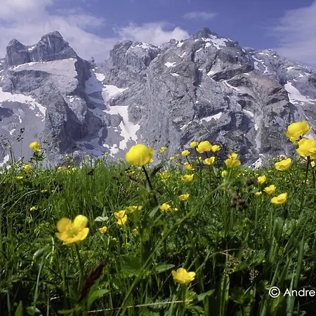 Haus Schnetzer Appartamento