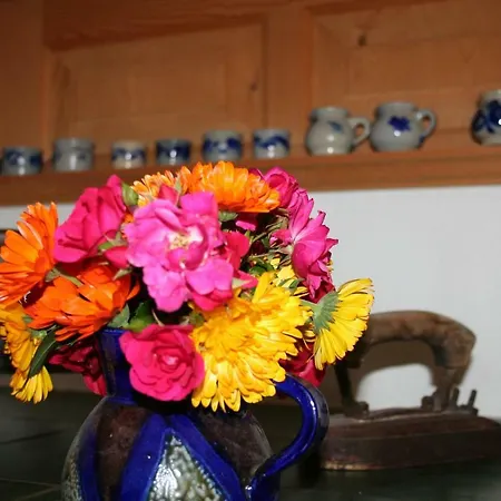 Appartamento Haus Schnetzer *