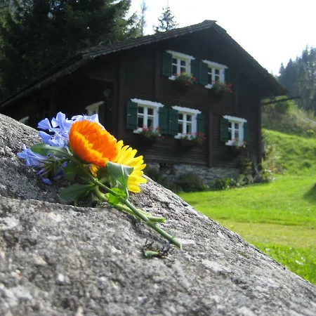 Haus Schnetzer *