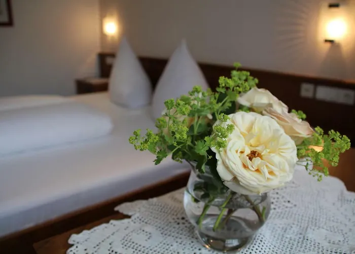 Haus Schnetzer * Schruns